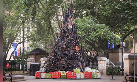 Christmas tree climate crisis